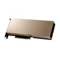 Видеокарта NVIDIA Tesla A100 80GB Bulk Packing with LP