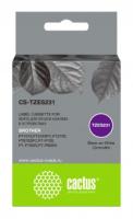 CS-TZES231