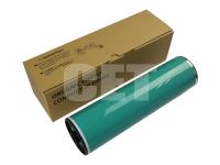 CET6050