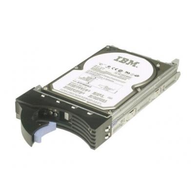 Жесткий диск IBM 49Y1870